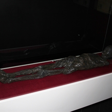 "Zagreb mummy"